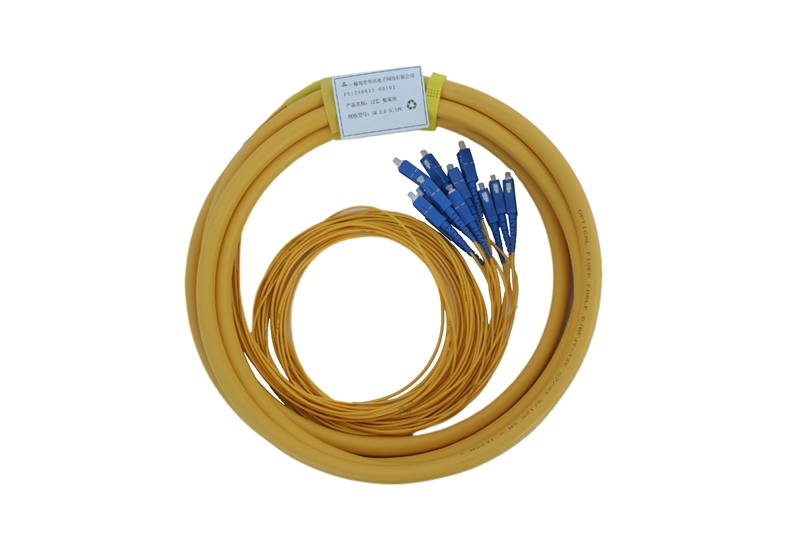 ����β��